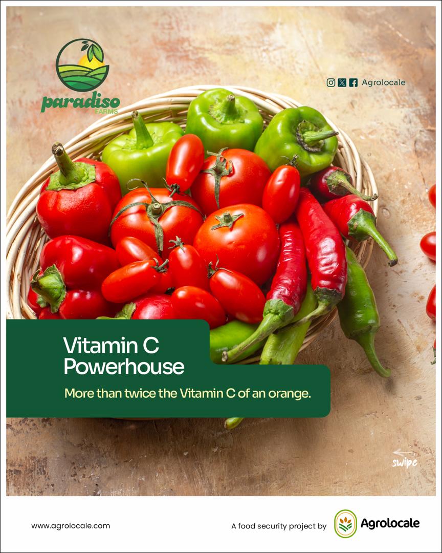 ๐ถ๏ธ Habanero 6