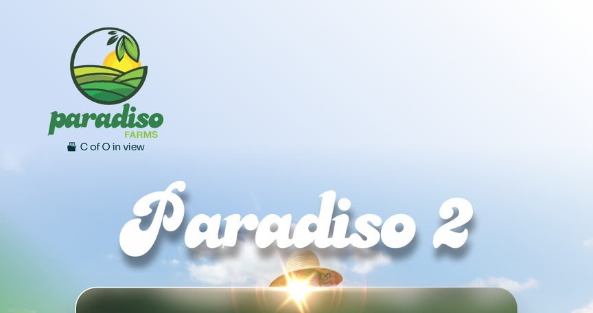 Paradiso Farms II